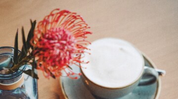Leckerer Cappuccino neben einer roten Blume.
