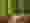 Forest 1868028 1920