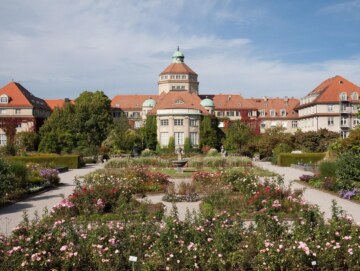 Botanical garden 454338 1920